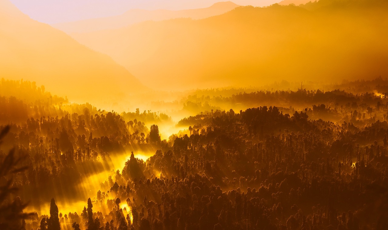 Sunrise Rainforest Peru / Peruvian Sunrise