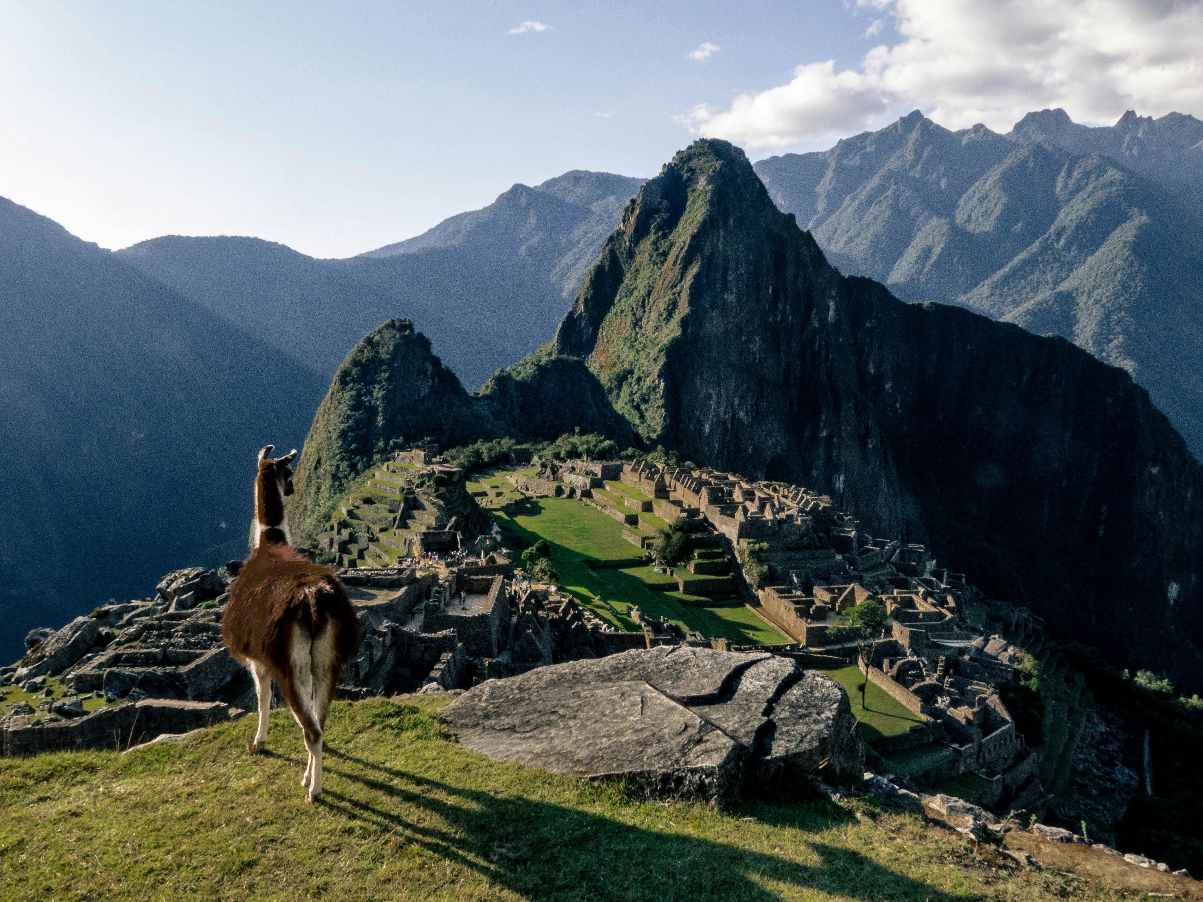 Machu Picchu Travel LLama Peru /Peruvian Sunrise 