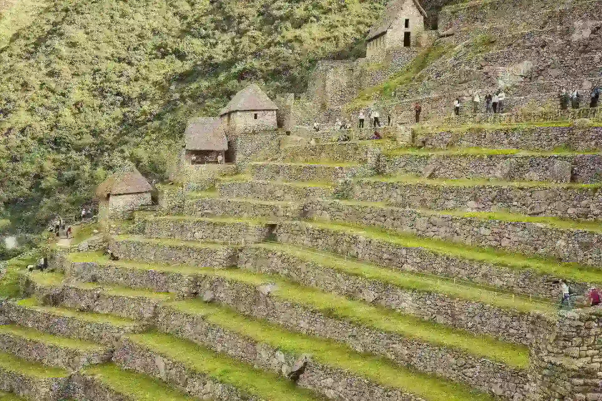 Machu Picchu Travel Cusco Sunny Day | Peruvian Sunrise