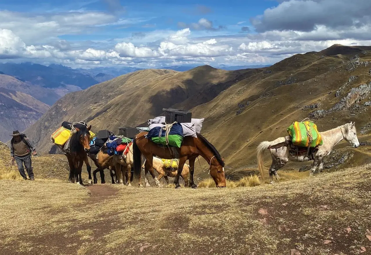 Choosing Your Path to Machu Picchu, Salkantay vs. Inca Trail | Peruvian Sunrise