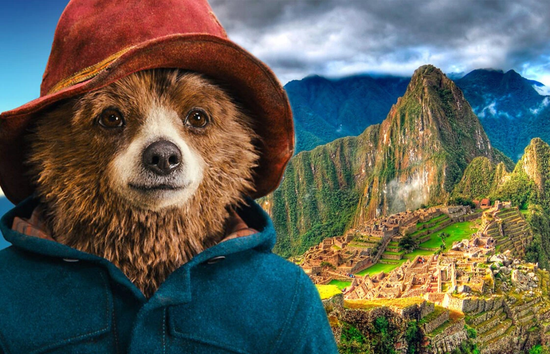 Paddington-Peru-bear-portrait | Peruvian Sunrise