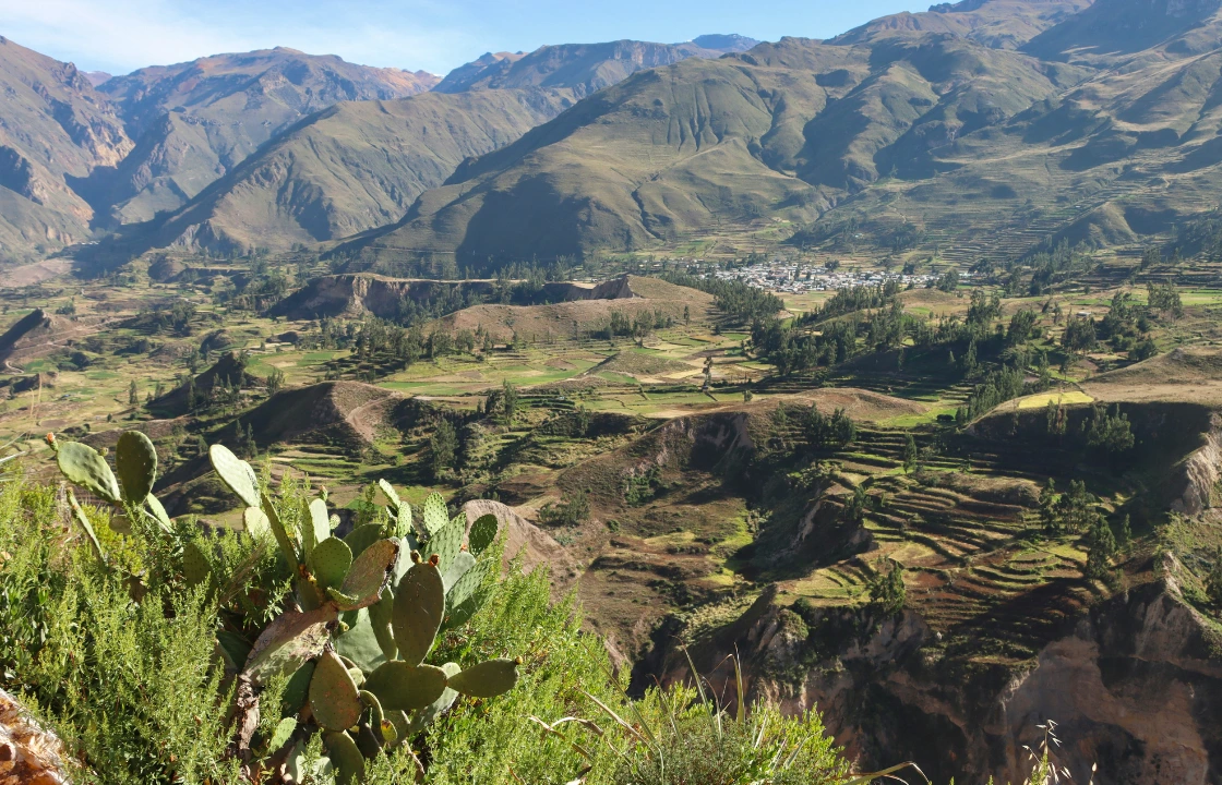 Colca Valley | Peruvian Sunrise