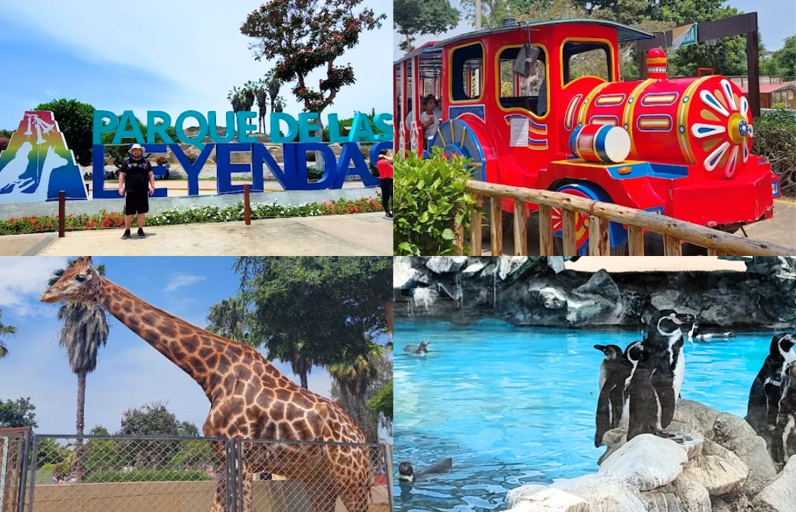 Fourth of July in Peru: Activities for families with kids - Zoo | Peruvian Sunrise