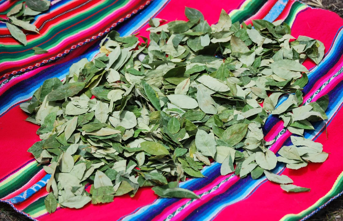 Inca rituals with coca leaves | Peruvian Sunrise