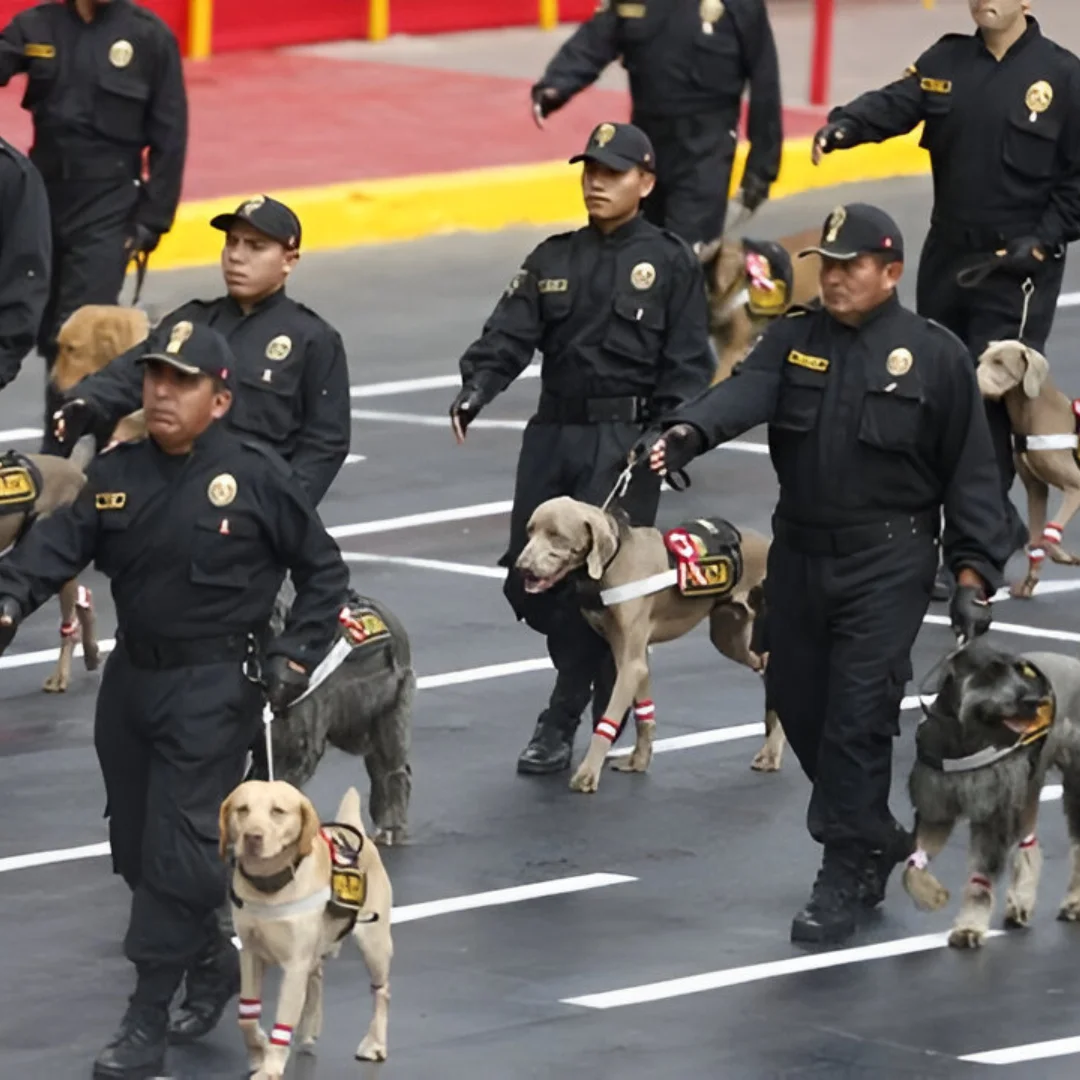 Peru Independence Day Militar Parade | Peruvian Sunrise