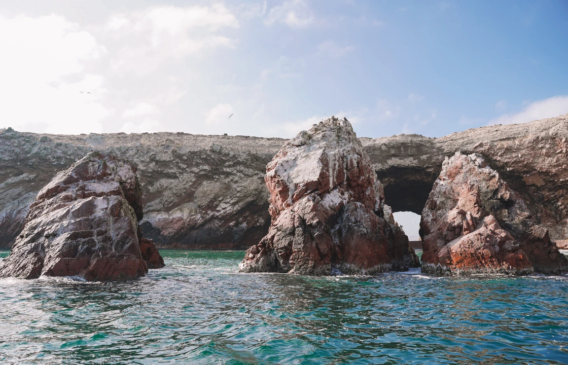 Islas Ballestas Peru portrait | Peruvian Sunrise
