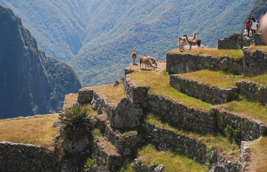 Facts about Inca Civilization Andes Machu Picchu | Peruvian Sunrise