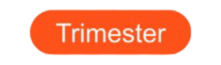 boton trimestre