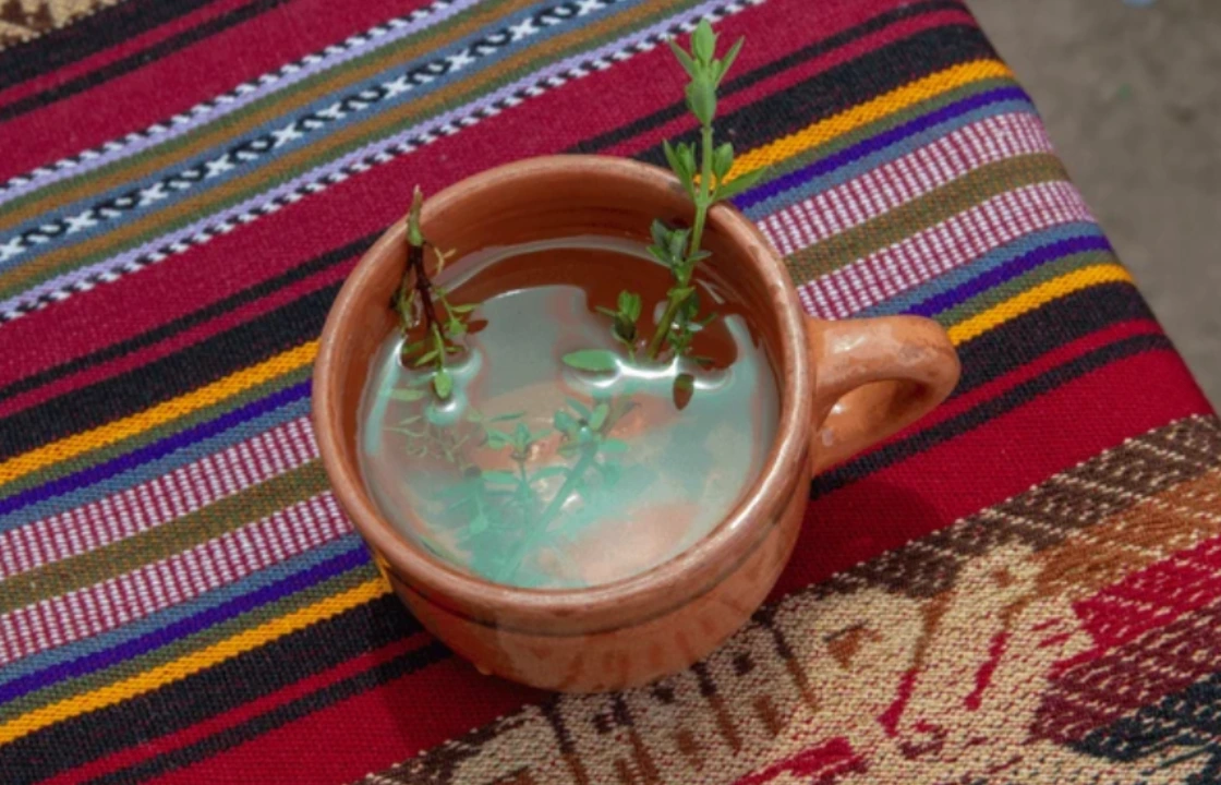 Peru muña tea | Peruvian Sunrise Peru muña tea | Peruvian Sunrise