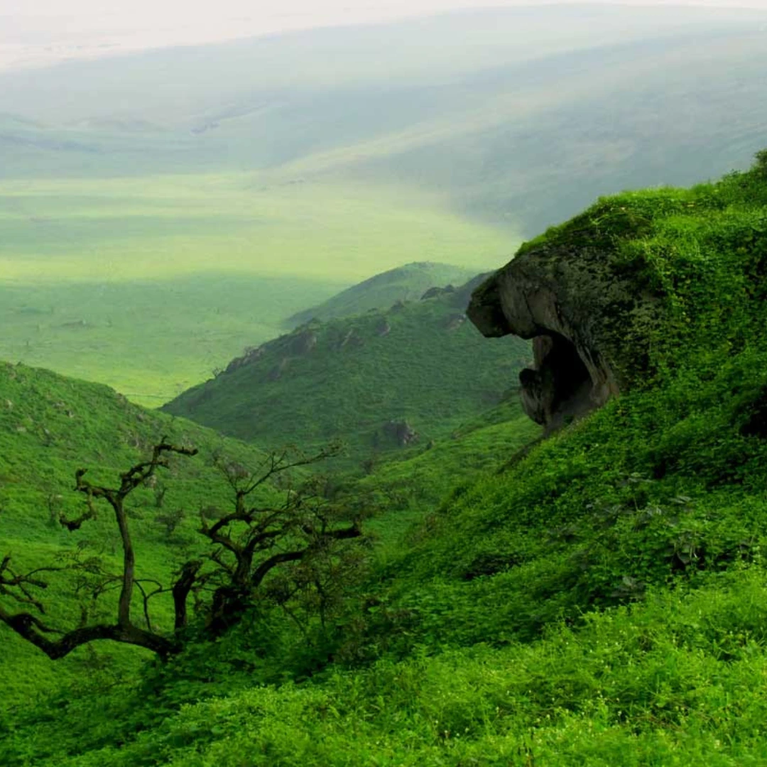 Peru news top green destinations | Peruvian Sunrise