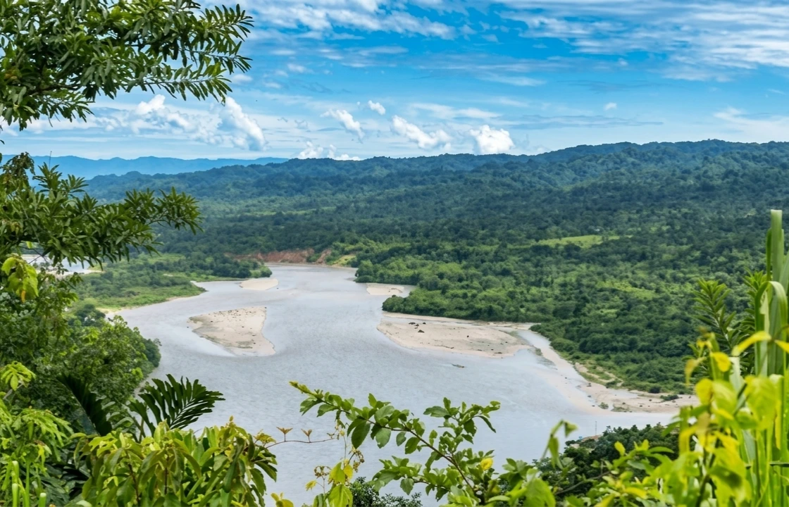 Manu National Park Peru portrait | Peruvian Sunrise