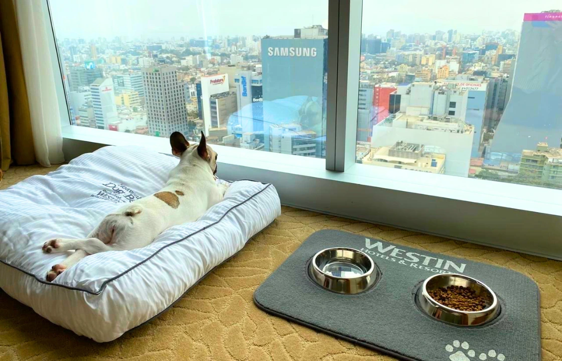 Traveling to Peru with dogs hotels | Peruvian Sunrise