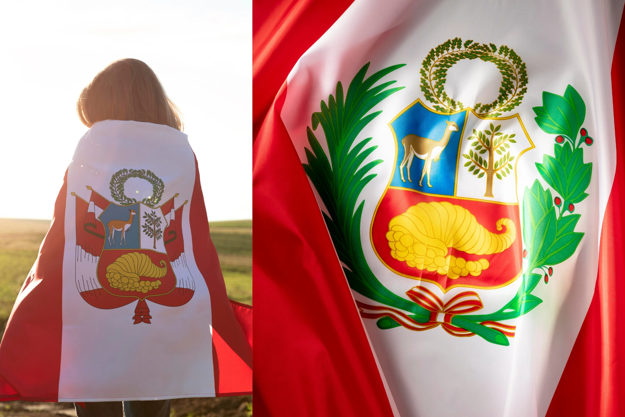 Peruvian Coat of Arms | Peruvian Sunrise