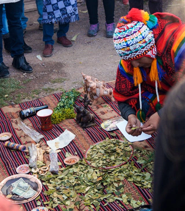 Coca leaves sustainable practices | Peruvian Sunrise