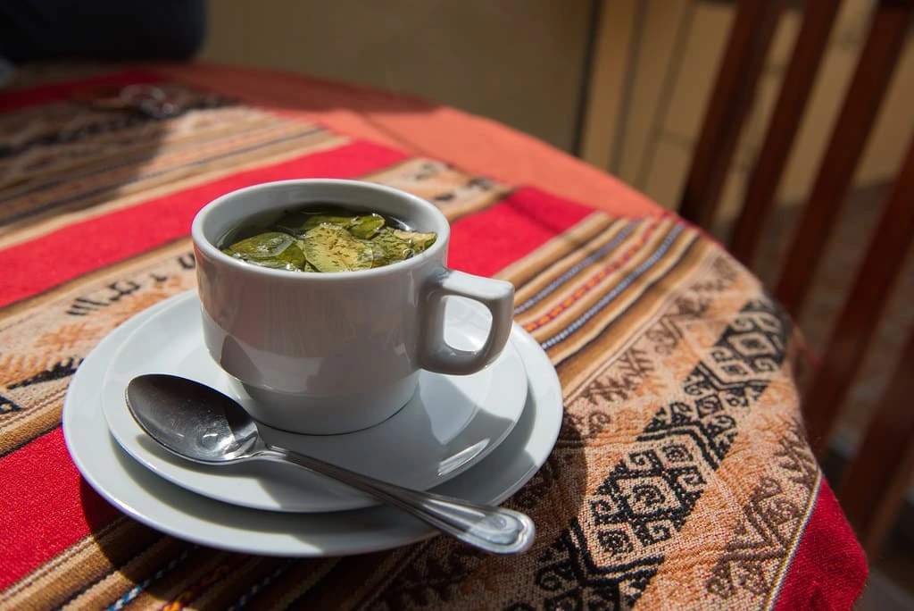Coca leaves tea for high altitude | Peruvian Sunrise
