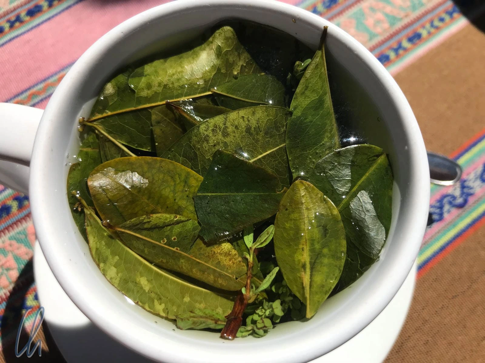 Coca tea natural remmedies for high altitude | Peruvian Sunrise
