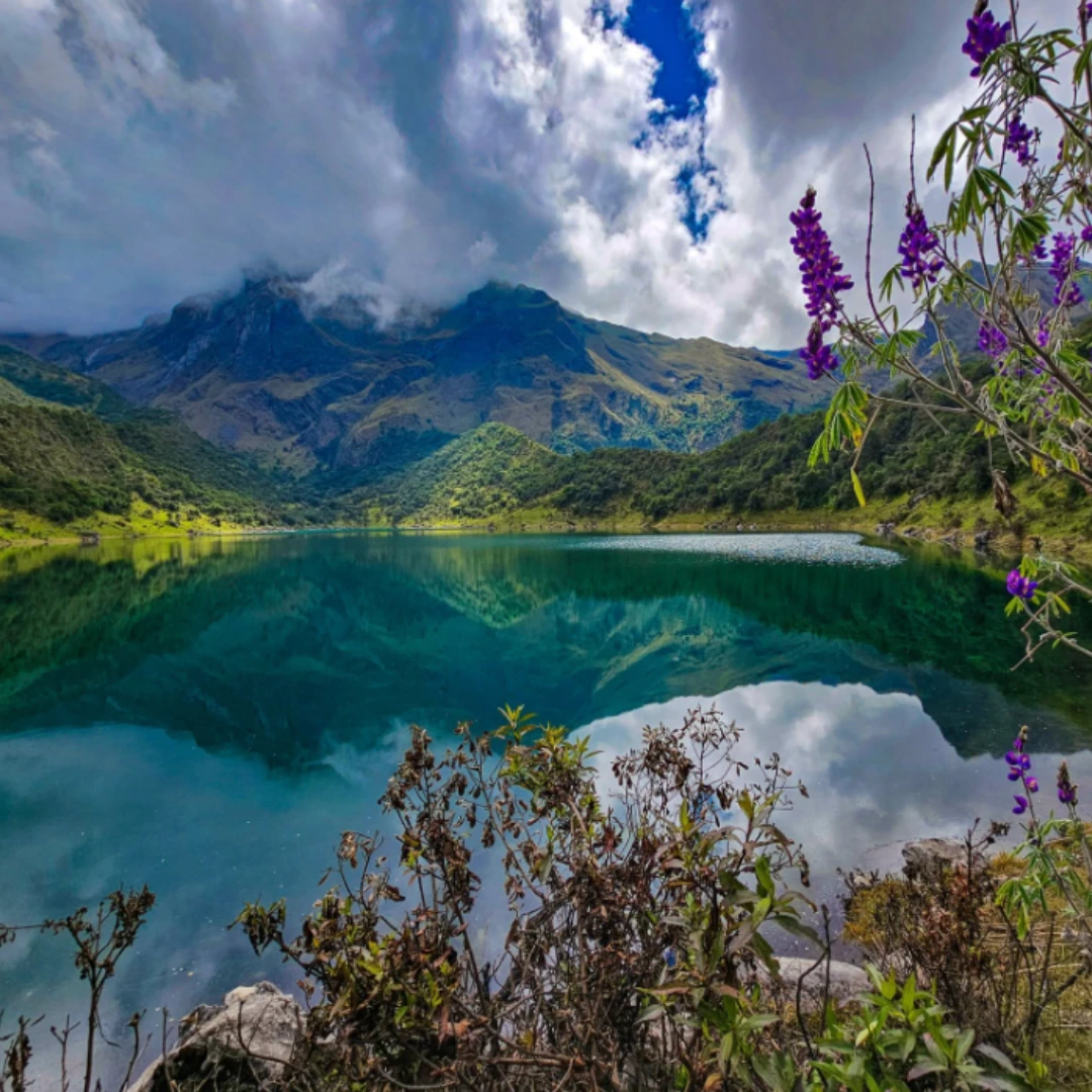 Peru News: Natural Protected Areas Free admission for Tourism Day | Peruvian Sunrise