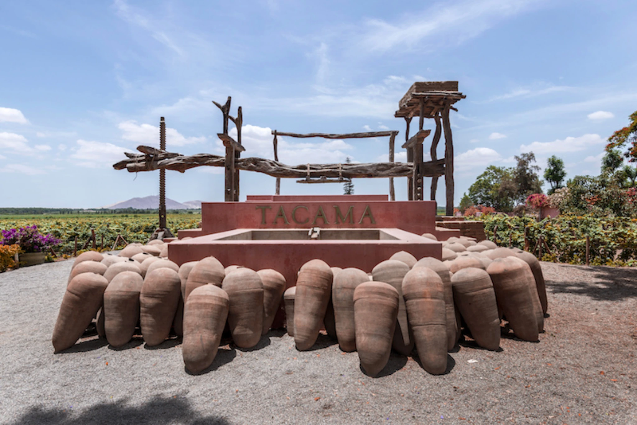 Peru Pisco vineyard places | Peruvian Sunrise