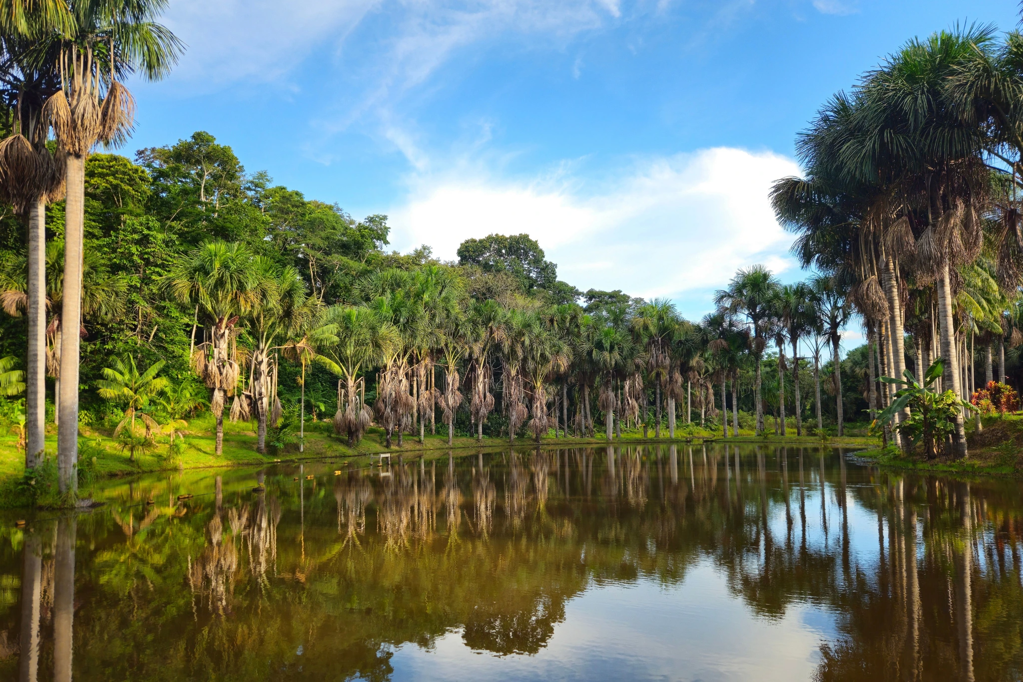 Puerto Maldonado Peru portrait | Peruvian Sunrise