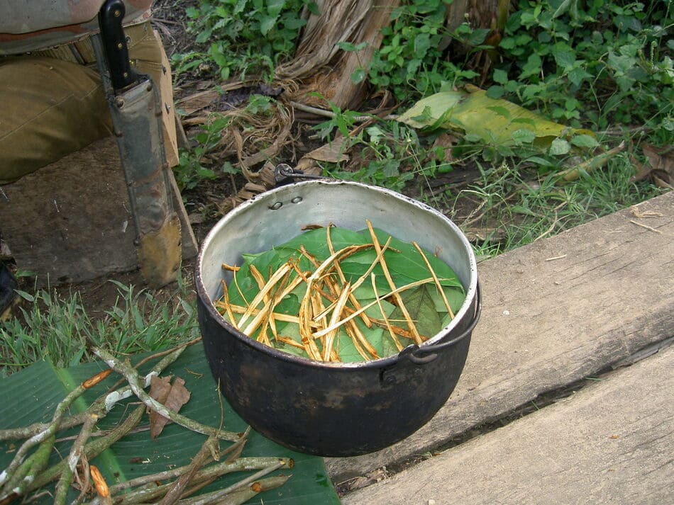 Ancient ayahuascaThe Ceremony: Preparation, Process, and Aftercare