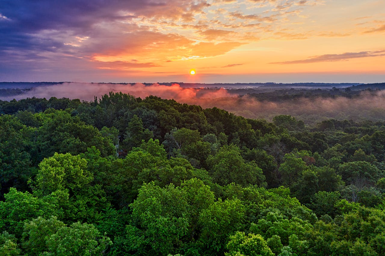 Beautiful day in the jungle peru, amazon Rainforest tours | Peruvian Sunrise