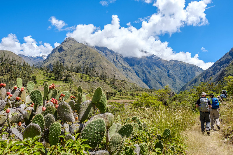 Choosing Your Path to Machu Picchu, Salkantay vs. Inca Trail | Peruvian Sunrise