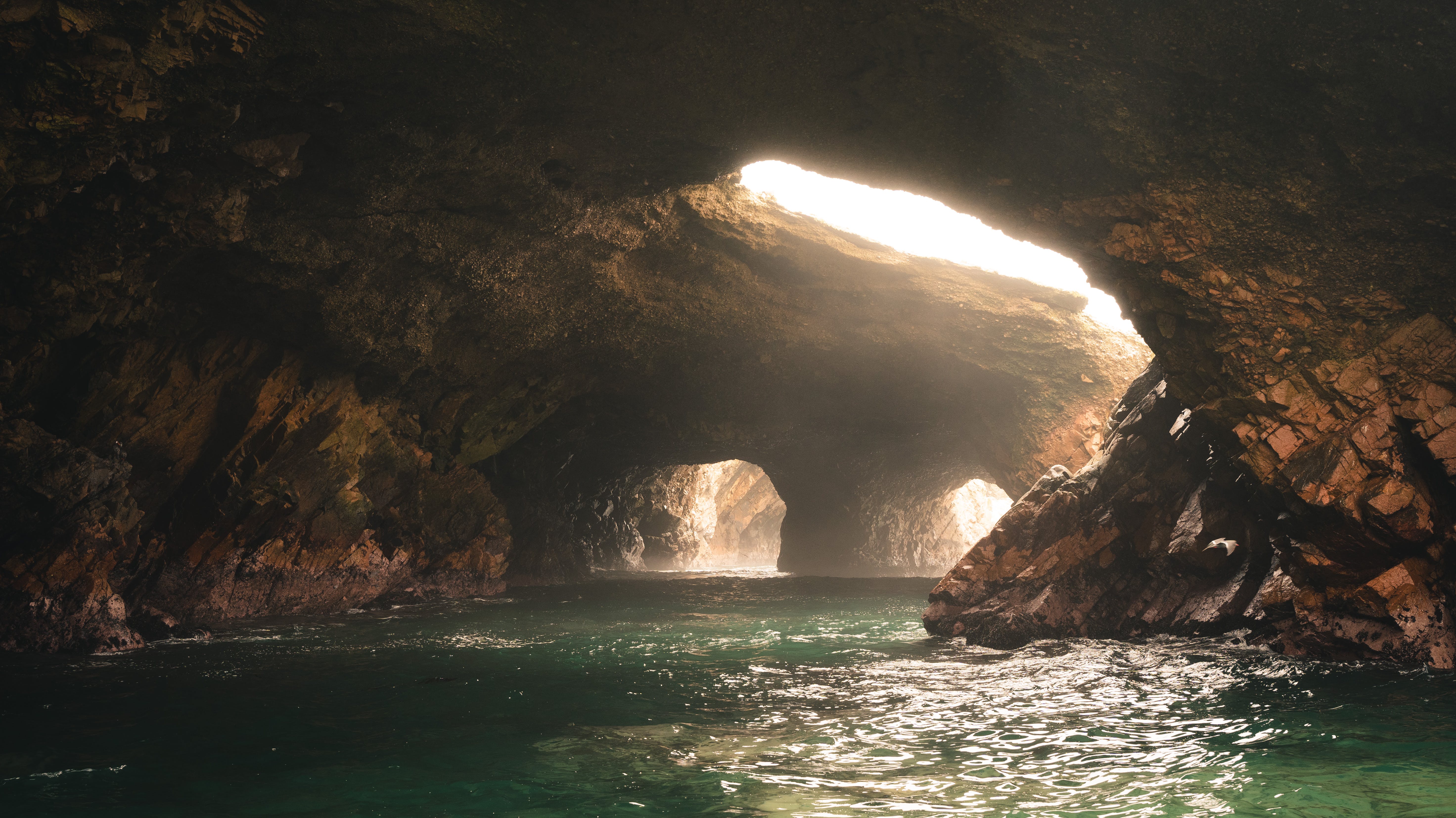 Ballestas Islands Peru Ica