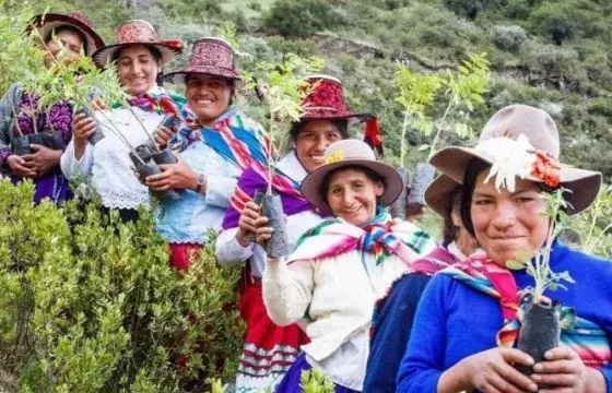 Andean Women Planting Trees | Peruvian Sunrise