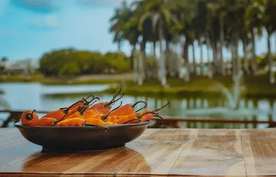 Peruvian Food: Learn more about the Typical Dishes of July 28th | Peruvian Sunrise