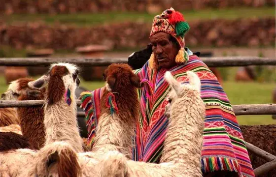 Why travel to Peru? why chosse a travel agency? wich peru tour should i go to? here you can find all the answers | Peruvian Sunrise