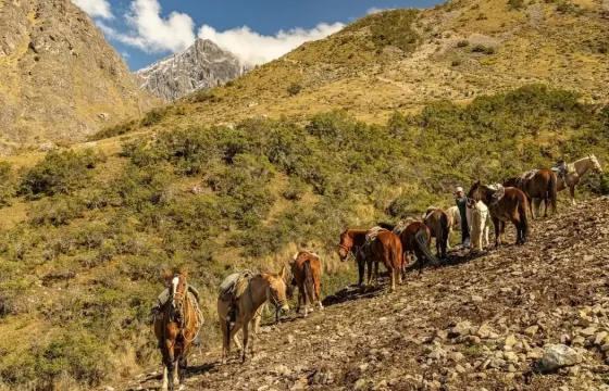 A breathtaking view of Peruvian Mountains surrounded by lush green mountains and horses on a sunny day | Peruvian Sunrise