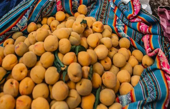peru-fruits-portrait | Pervian Sunrise