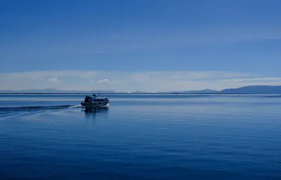 Titicaca Lake Peru portrait | Peruvian Sunrise