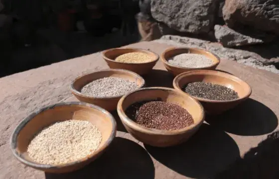 Superfoods Peru portrait | Peruvian Sunrise