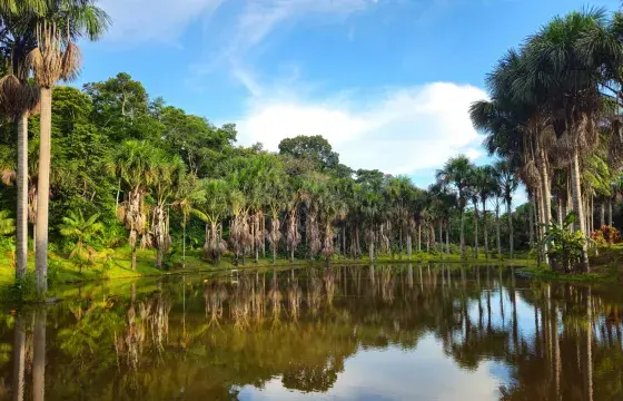Puerto Maldonado Peru portrait | Peruvian Sunrise