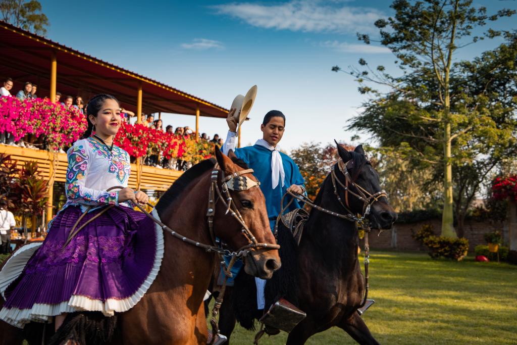 Peruvian Walk Horse caballo de paso Peruano travel/peruvian Sunrise