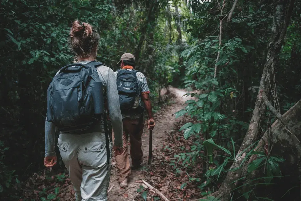 Explore the jungle in Puerto Maldonado | Peruvian Sunrise