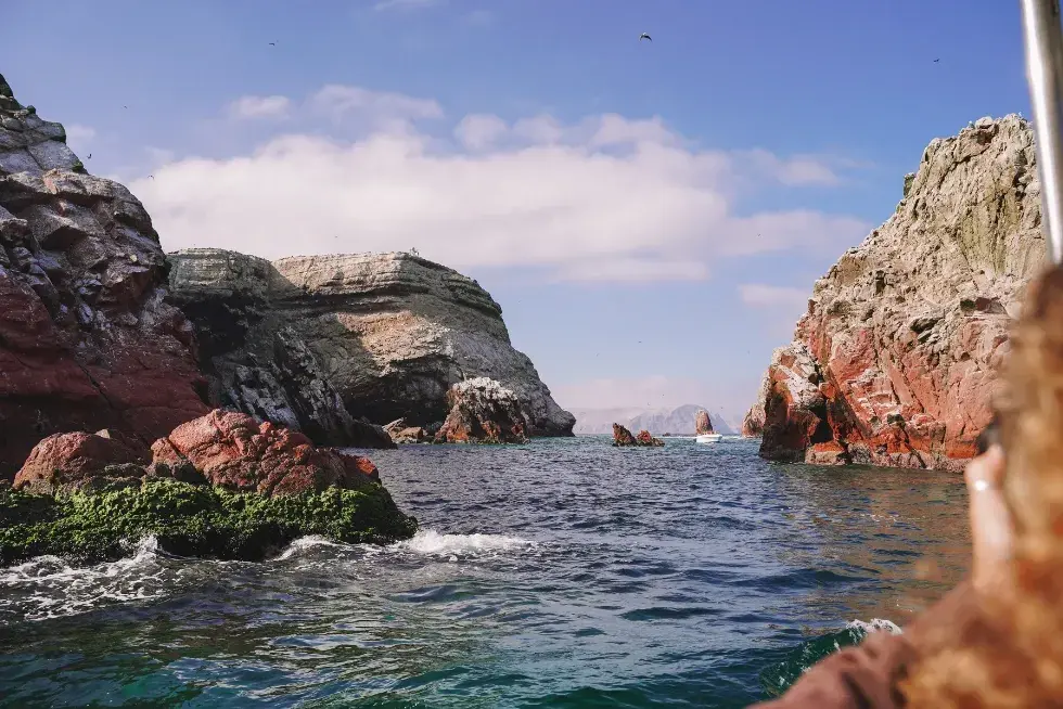 Tour through the Ballestas Islands | Peruvian Sunrise