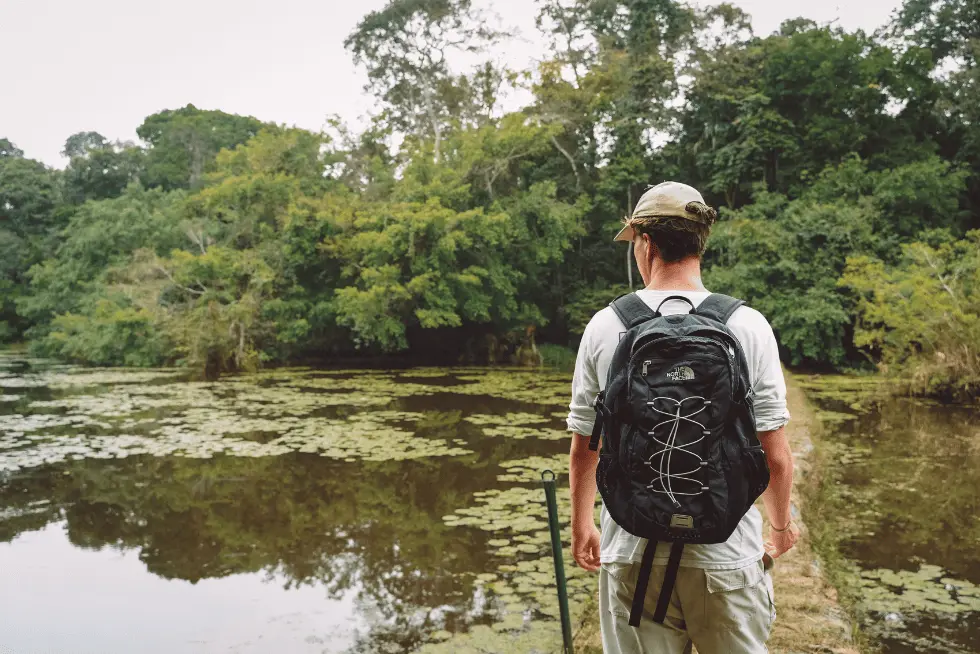 Wildlife excursions in the Peruvian Jungle | Peruvian Sunrise