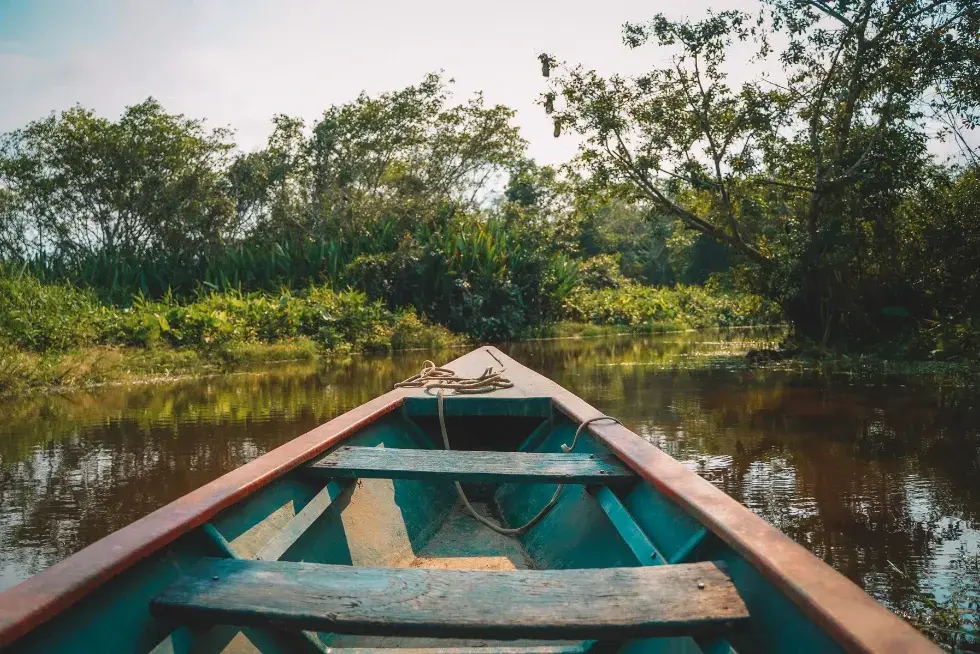 Discover the beauty of the peruvian jungle | Peruvian Sunrise