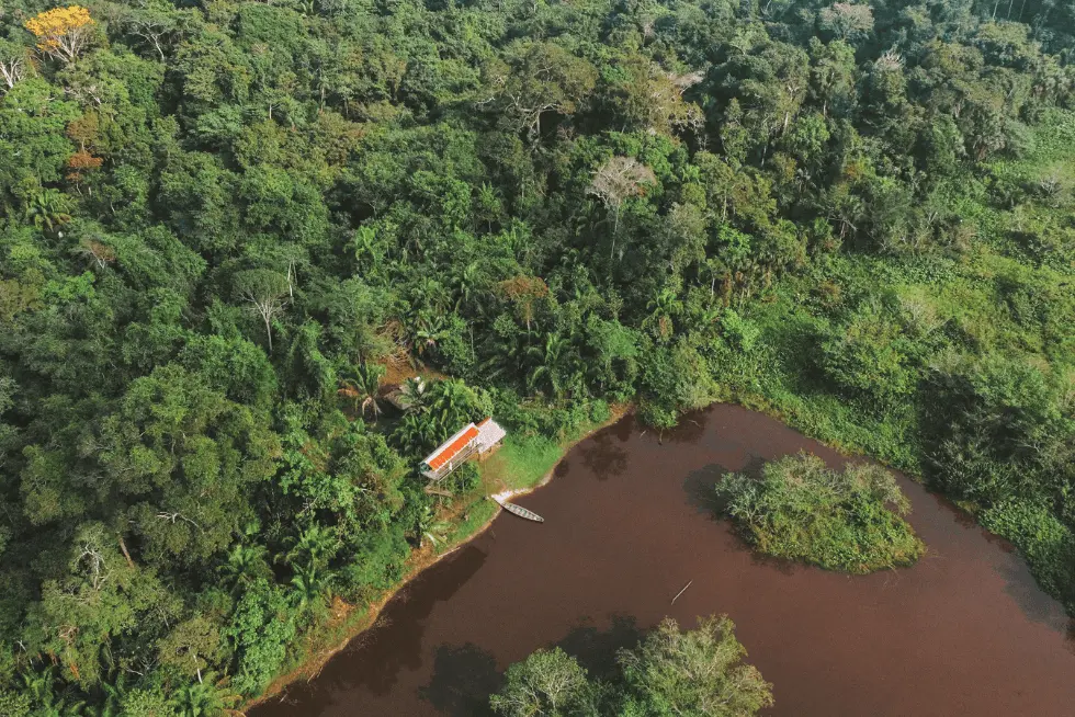 Beaufitul Nature in the Amazon Rainforest | Peruvian Sunrise